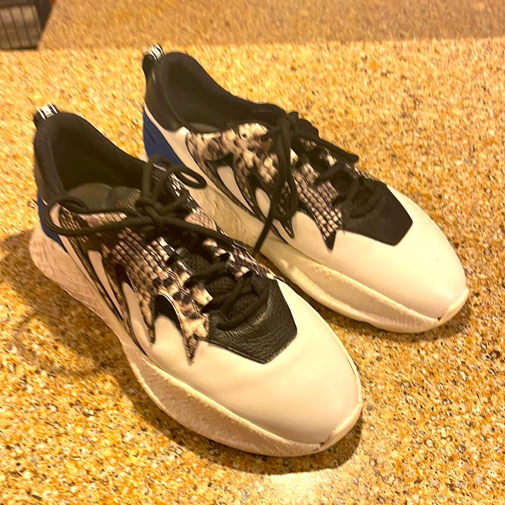Roberto Cavalli V1per Men's Low Top Sneakers
